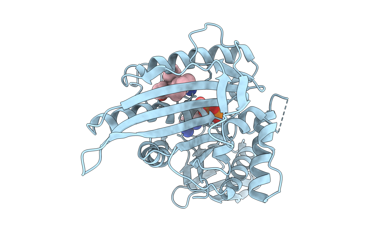 4BBG image