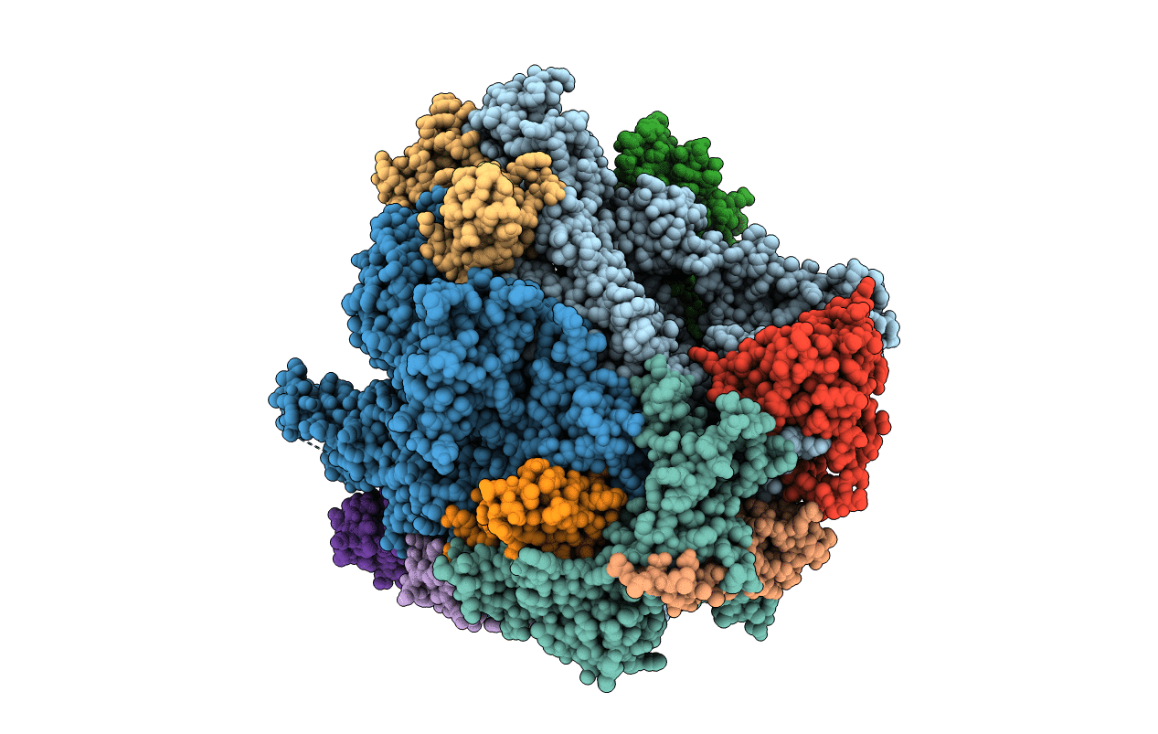 4BBR image
