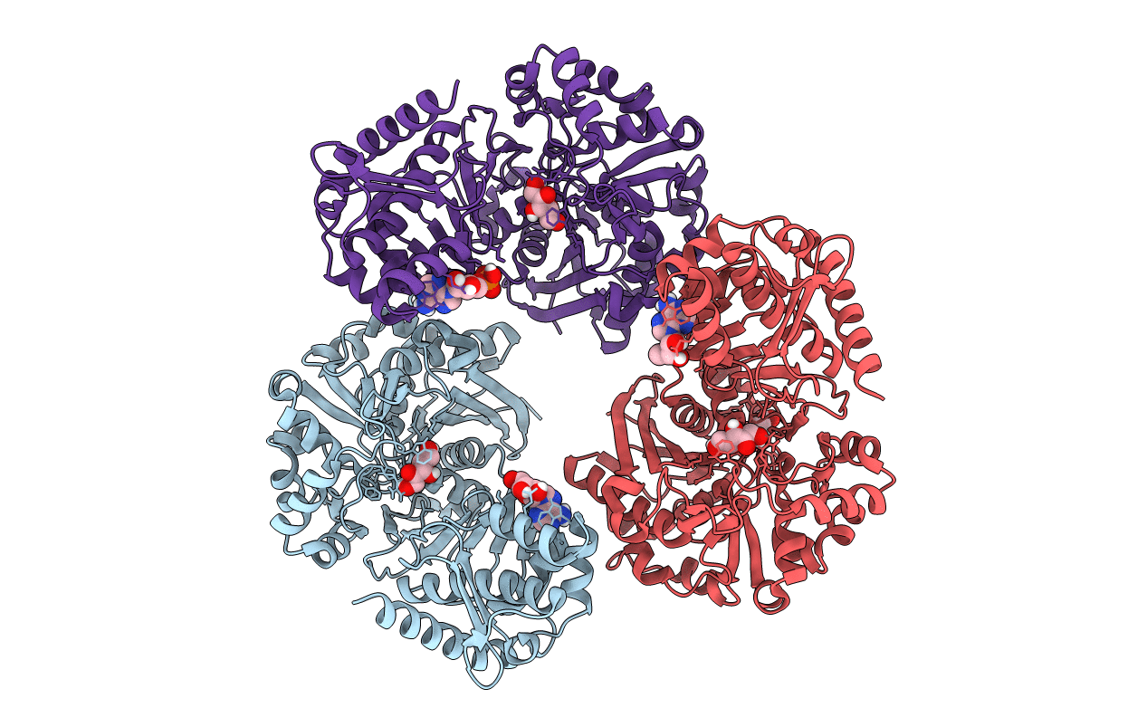 4BC2 image