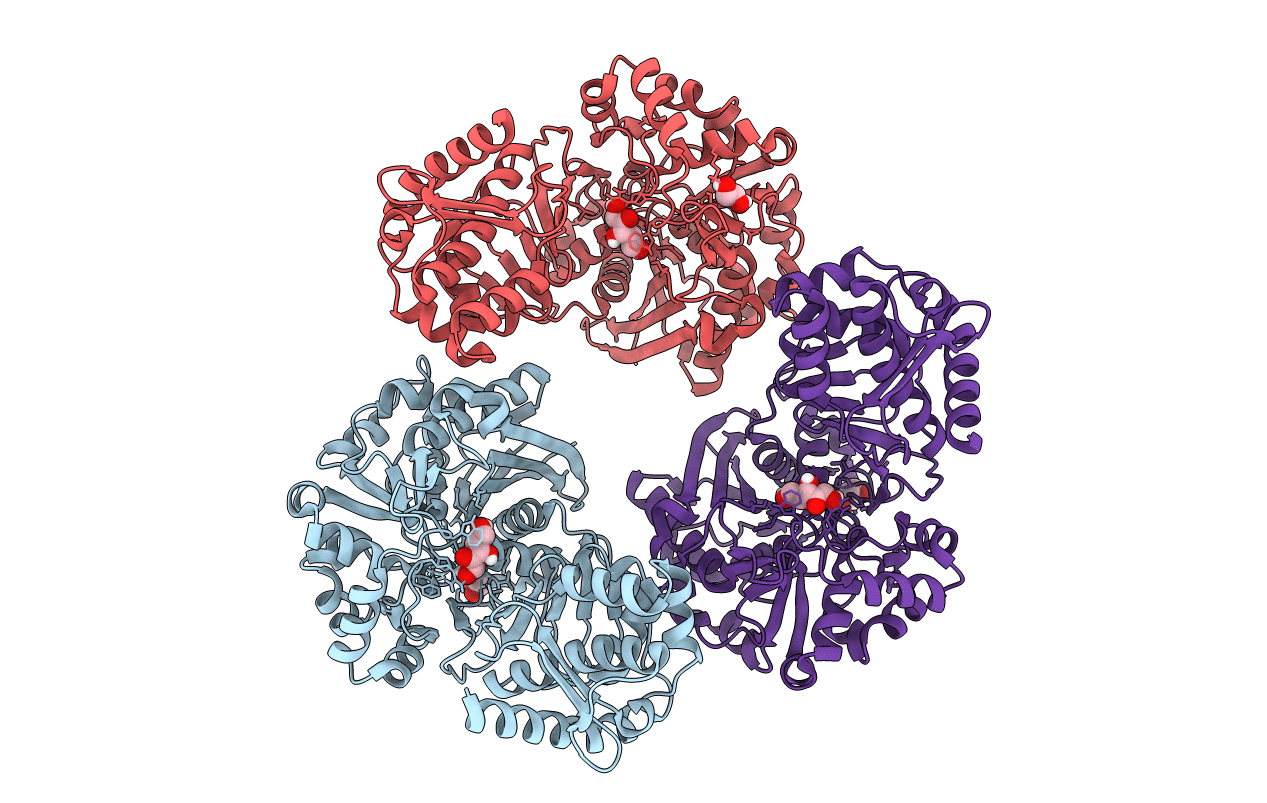 4BC4 image