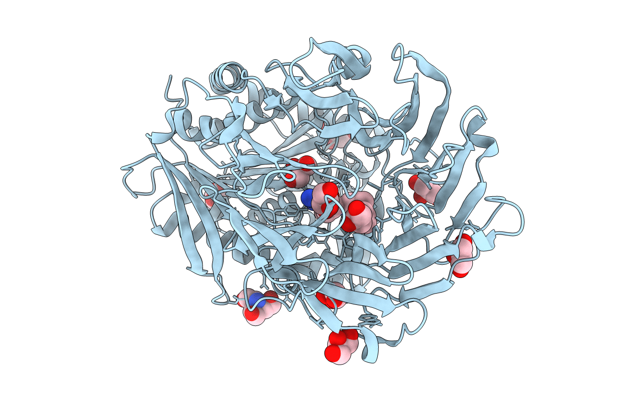 4BCB image