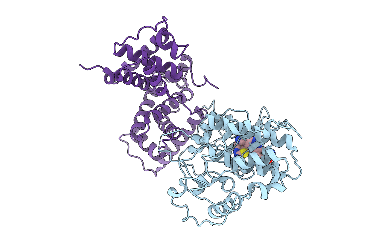 4BCI image