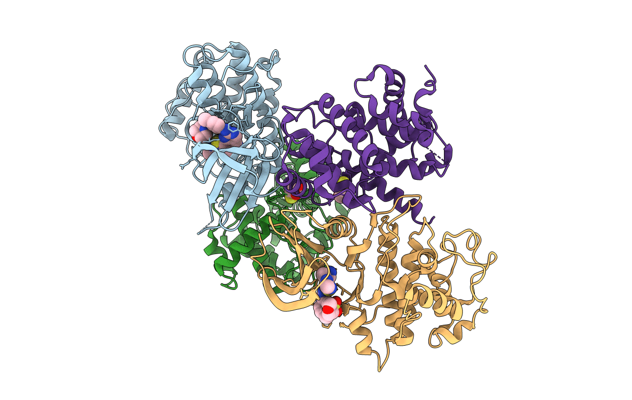 4BCM image