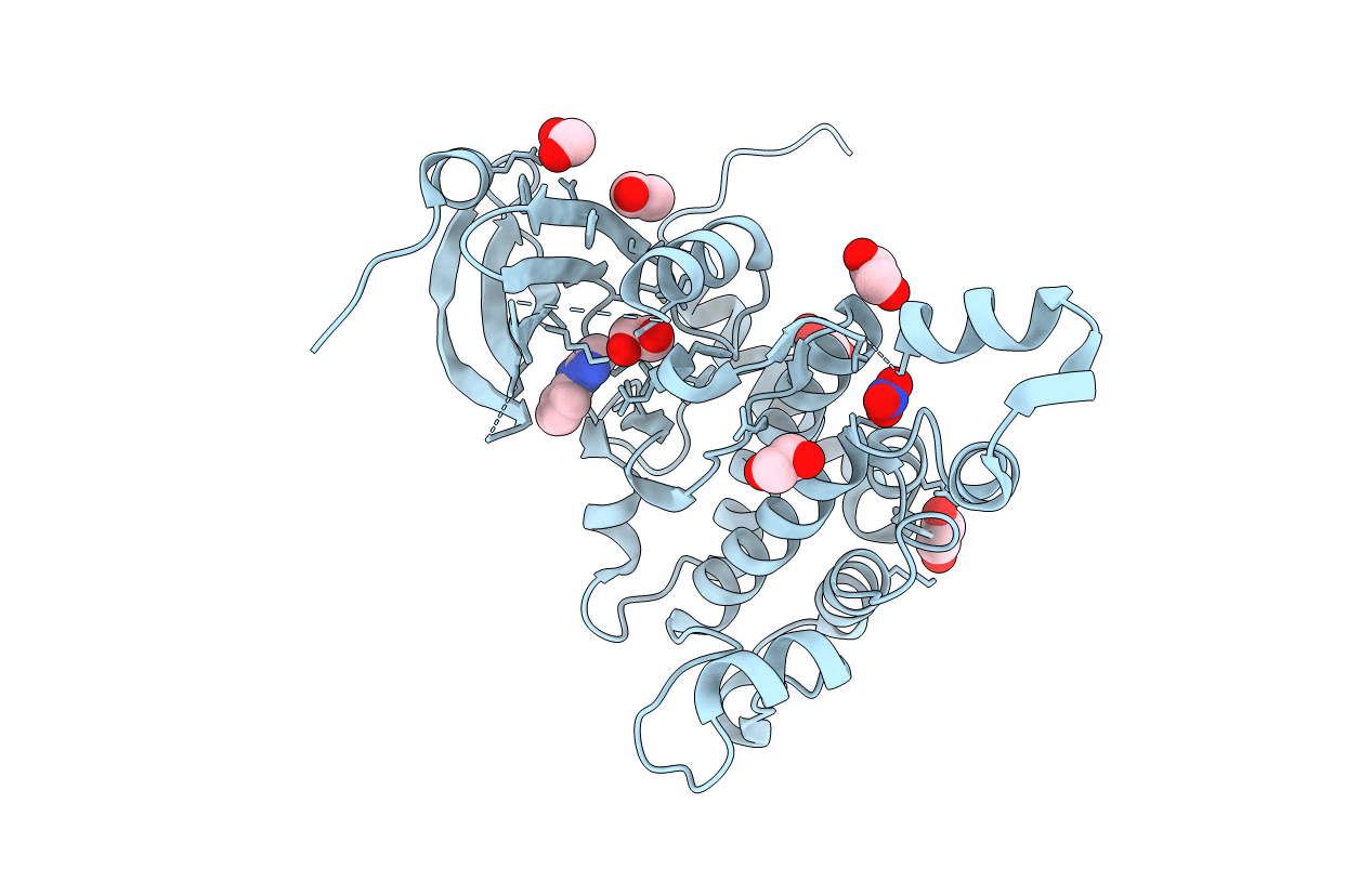 4BDA image
