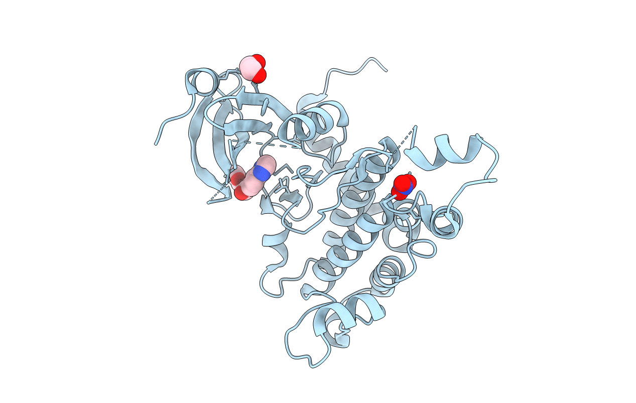 4BDC image