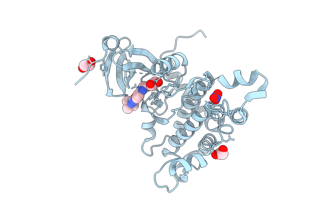 4BDD image