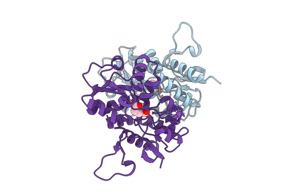 4BDL image