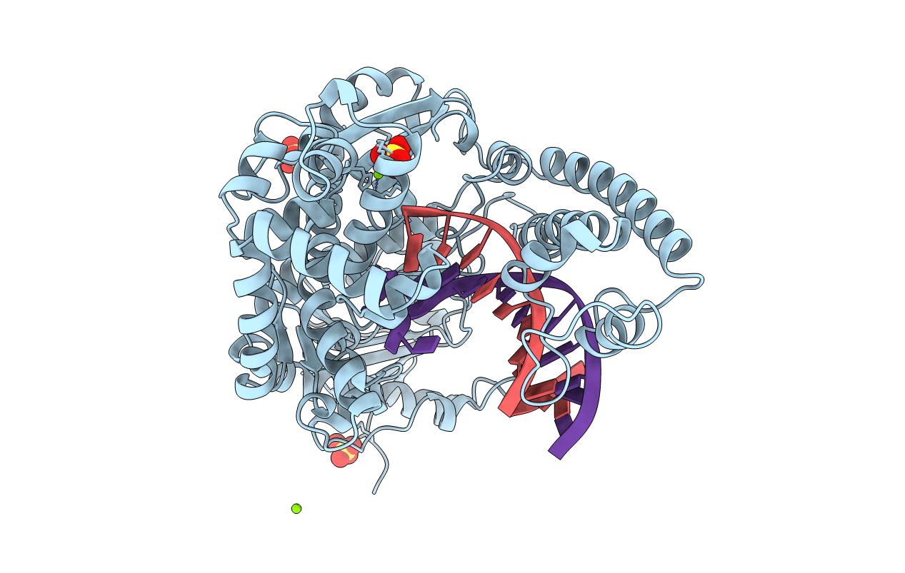 4BDP image