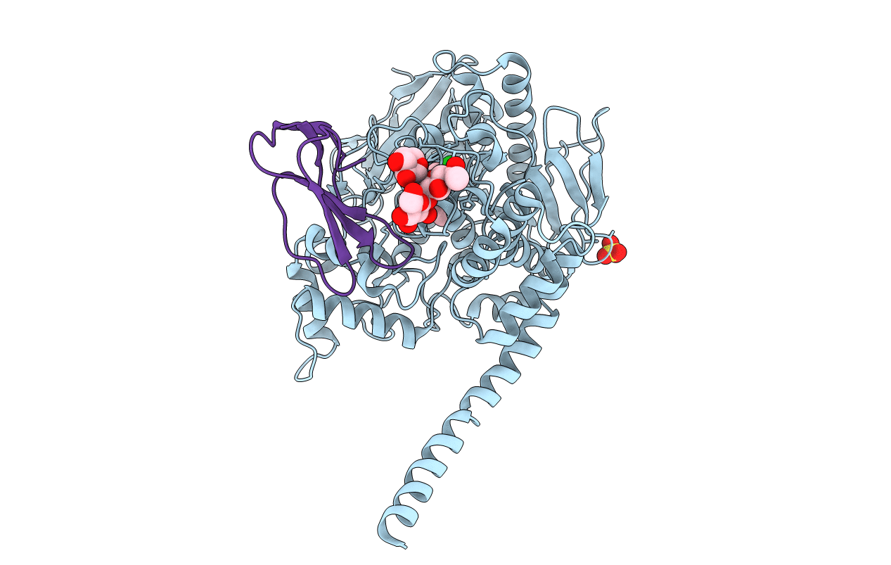 4BDT image