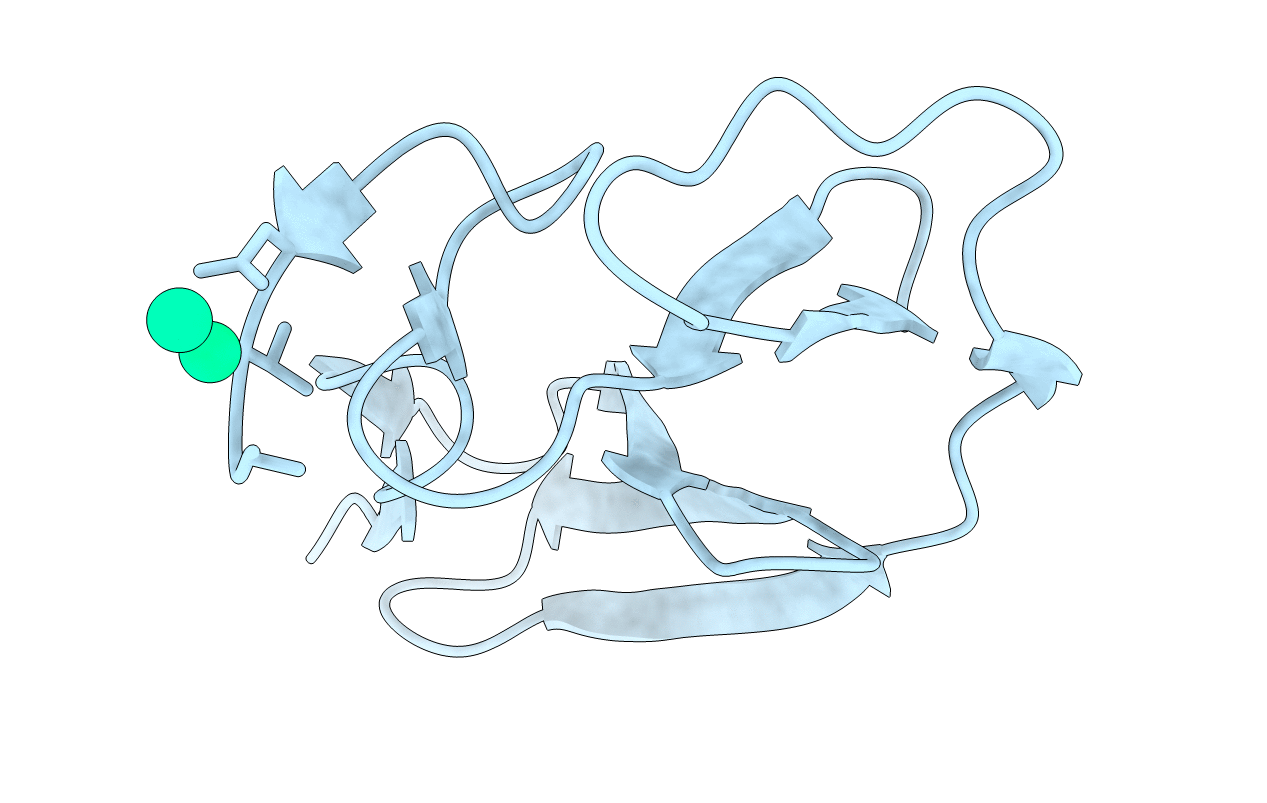4BDW image
