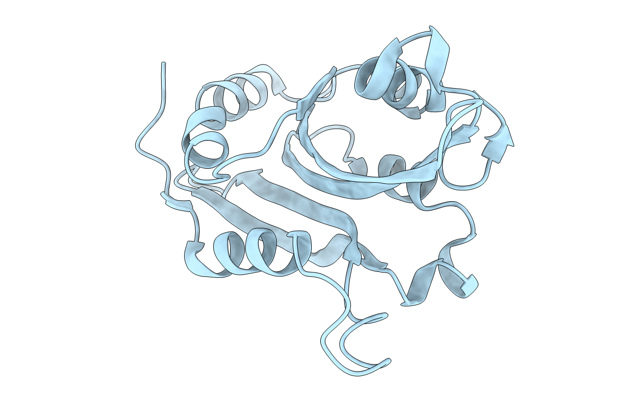 4BEX image