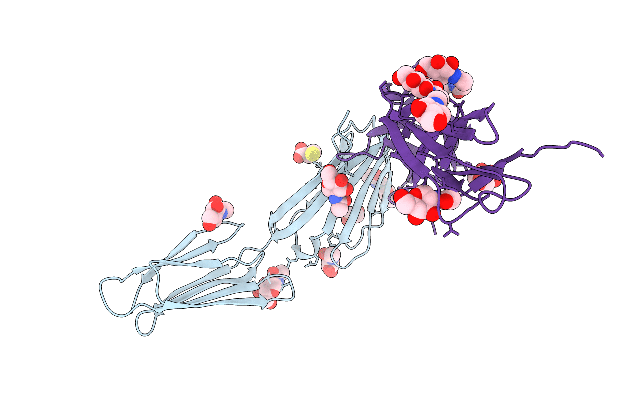 4BFI image
