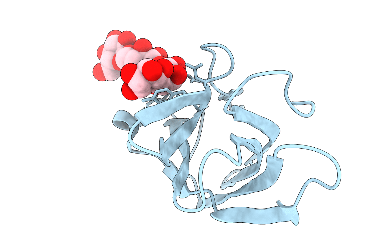 4BFN image