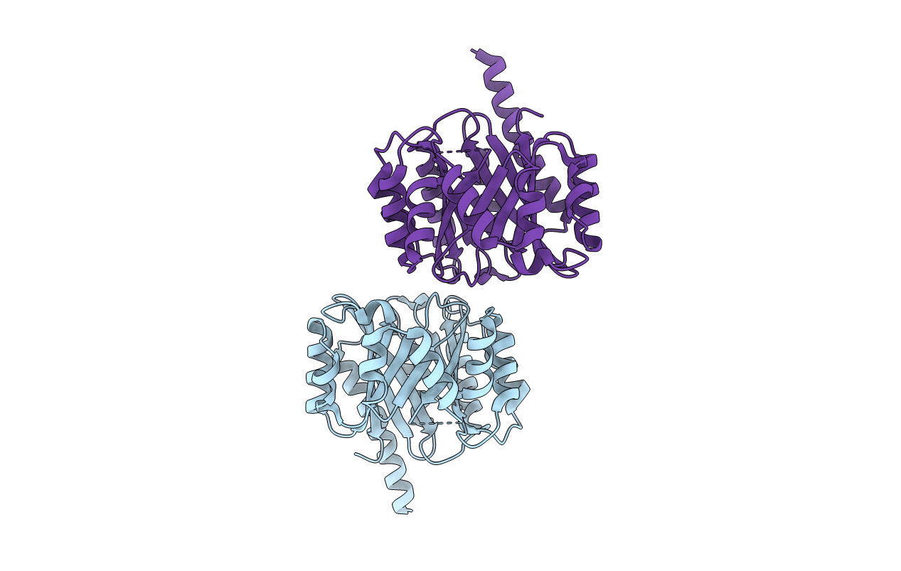 4BG2 image