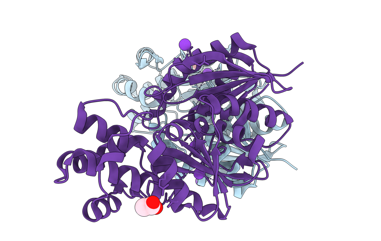 4BG8 image