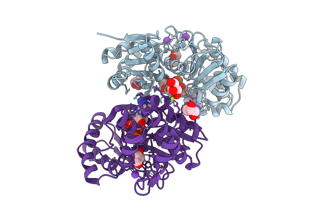 4BGB image