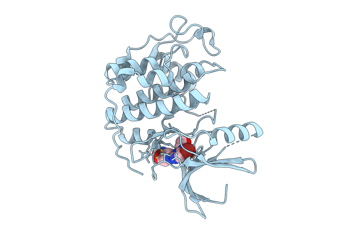 4BGH image