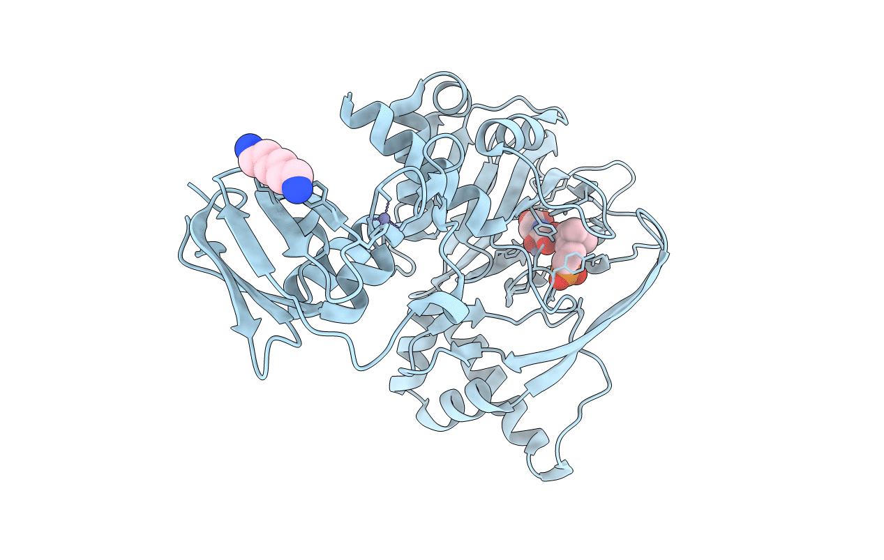 4BGK image