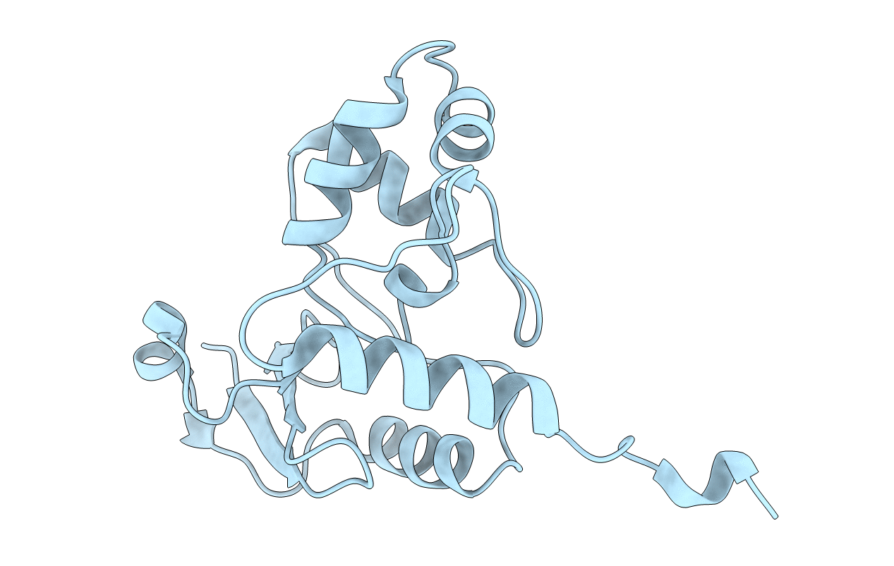 4BHC image