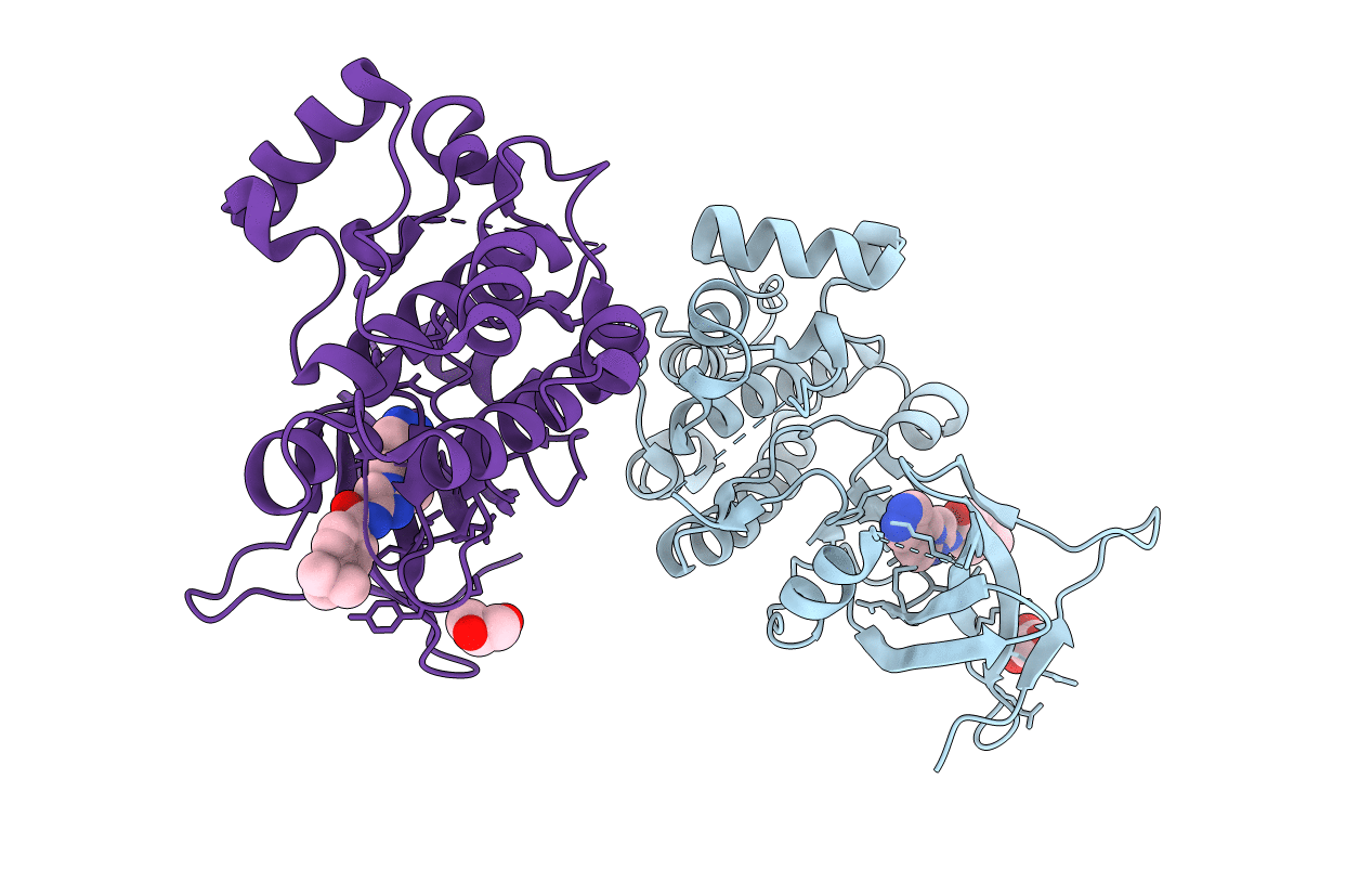 4BHN image