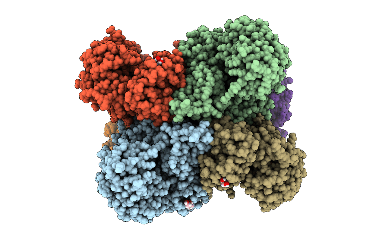 4BHT image