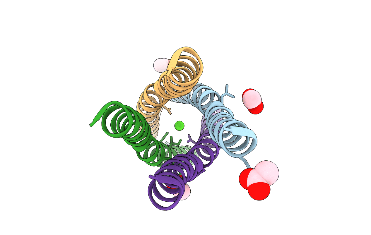 4BHV image