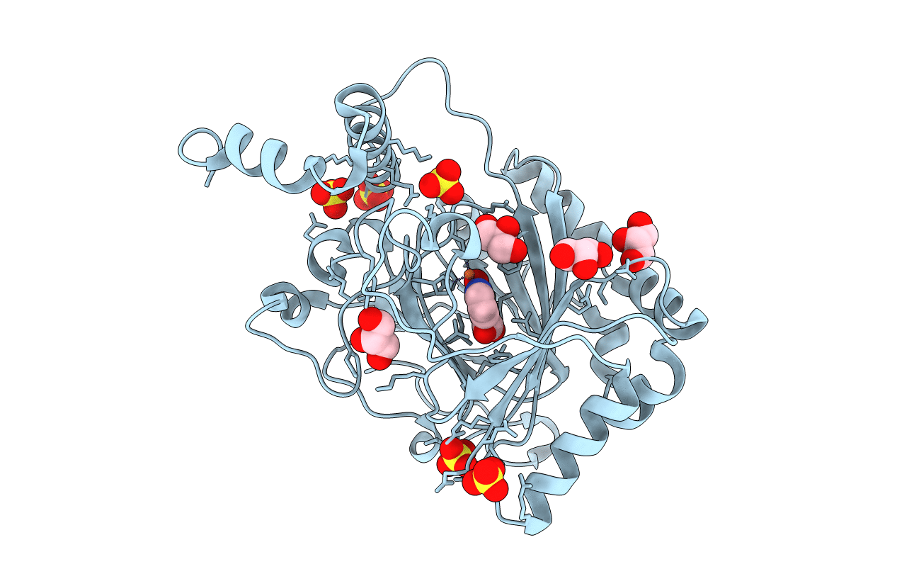 4BIO image