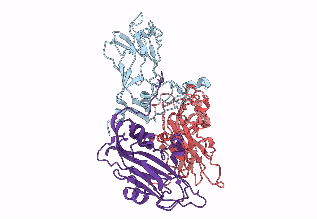 4BIP image