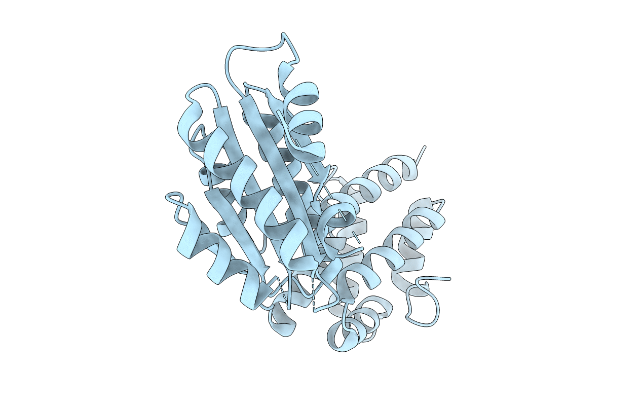 4BJ1 image