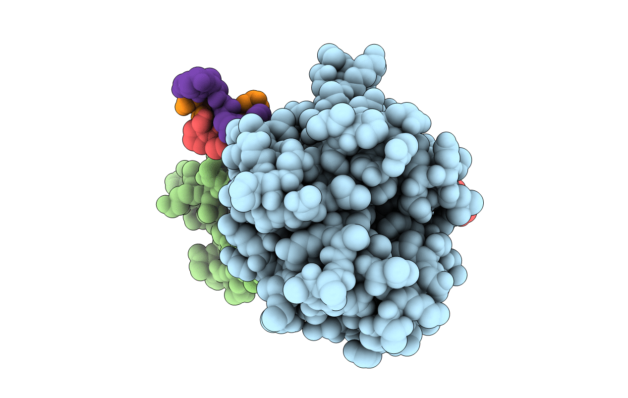 4BJ3 image