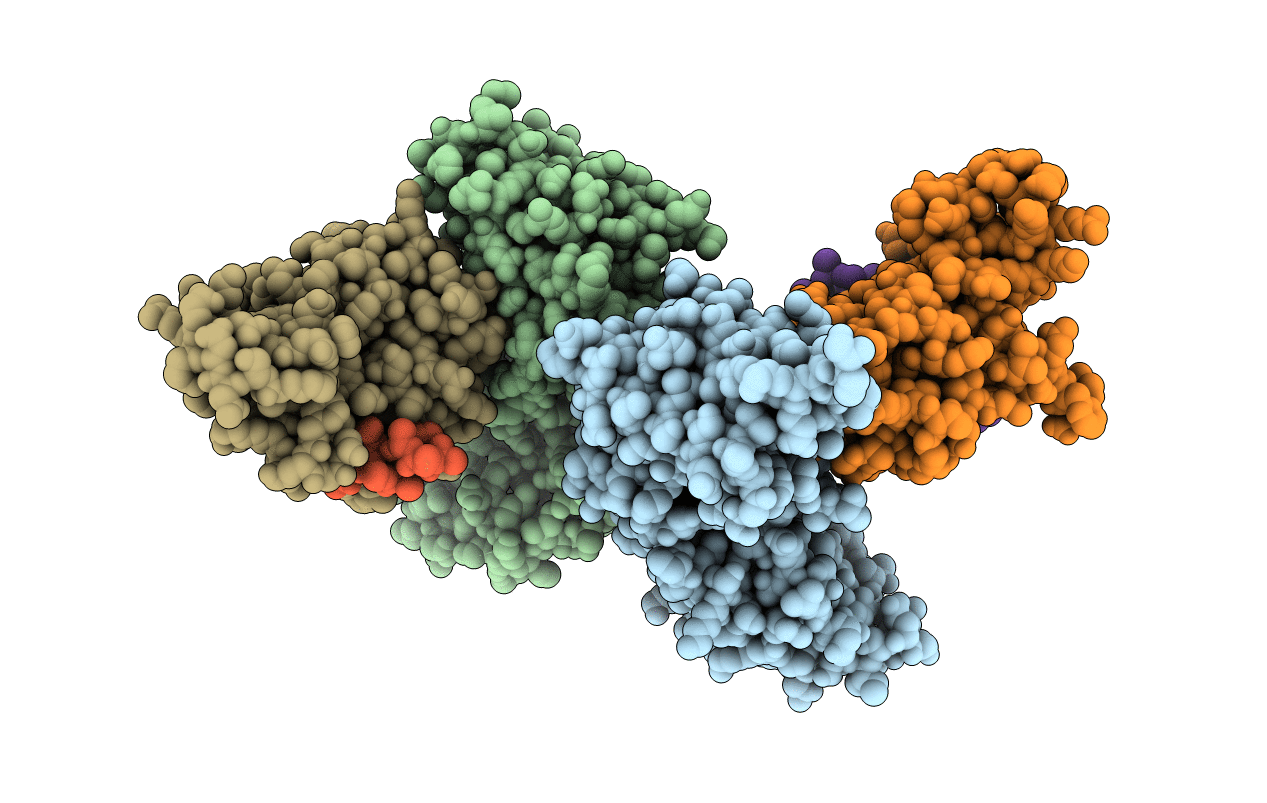 4BJ6 image