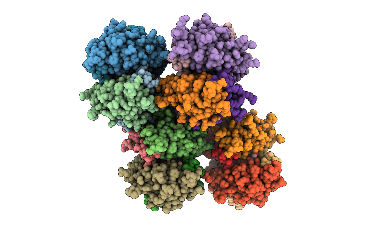 4BJ8 image