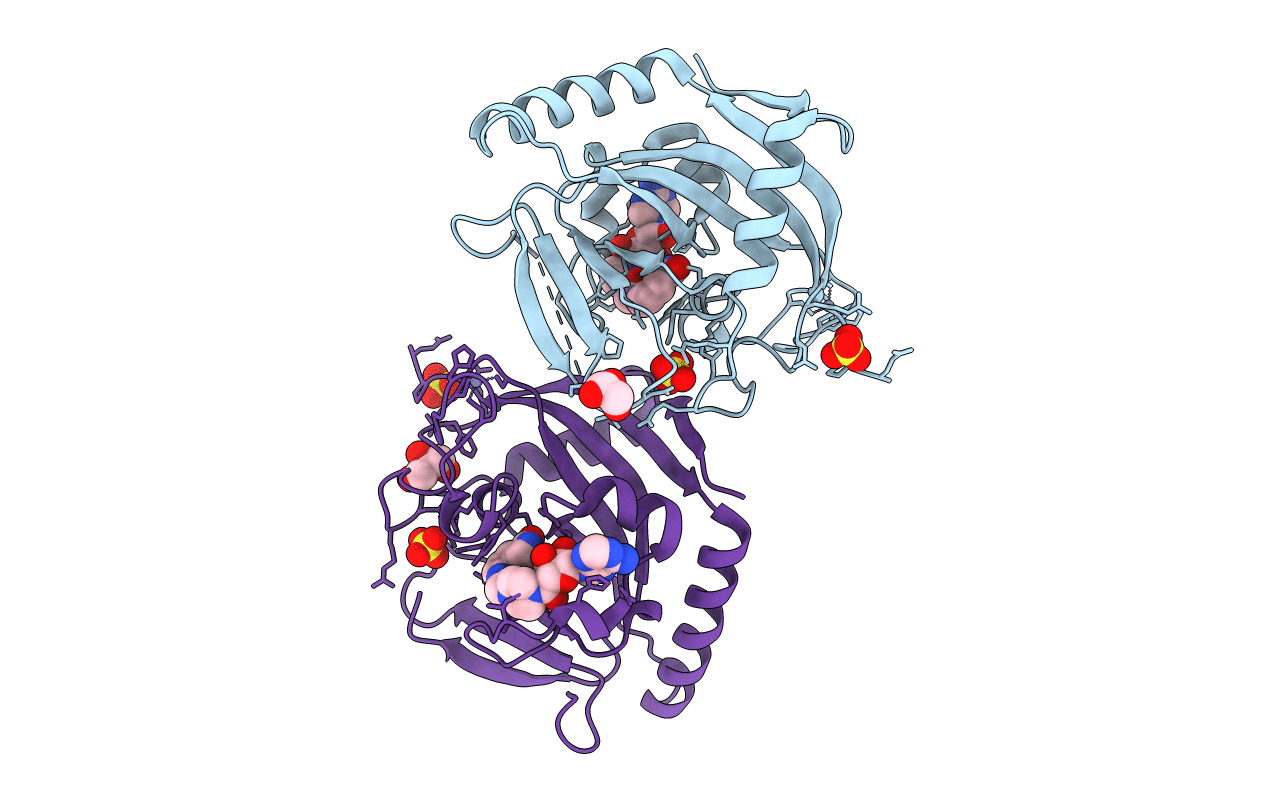 4BJ9 image