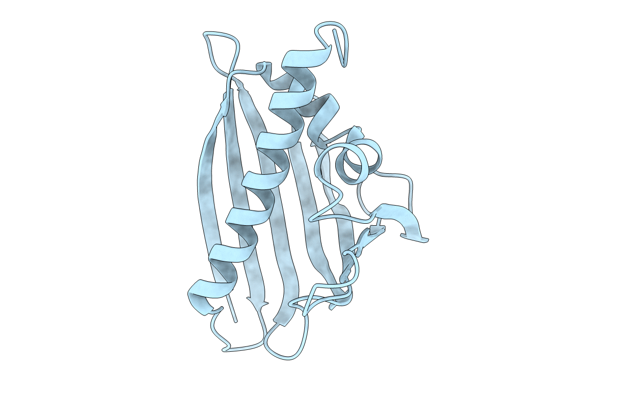4BKD image