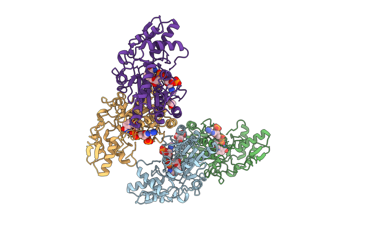4BKP image