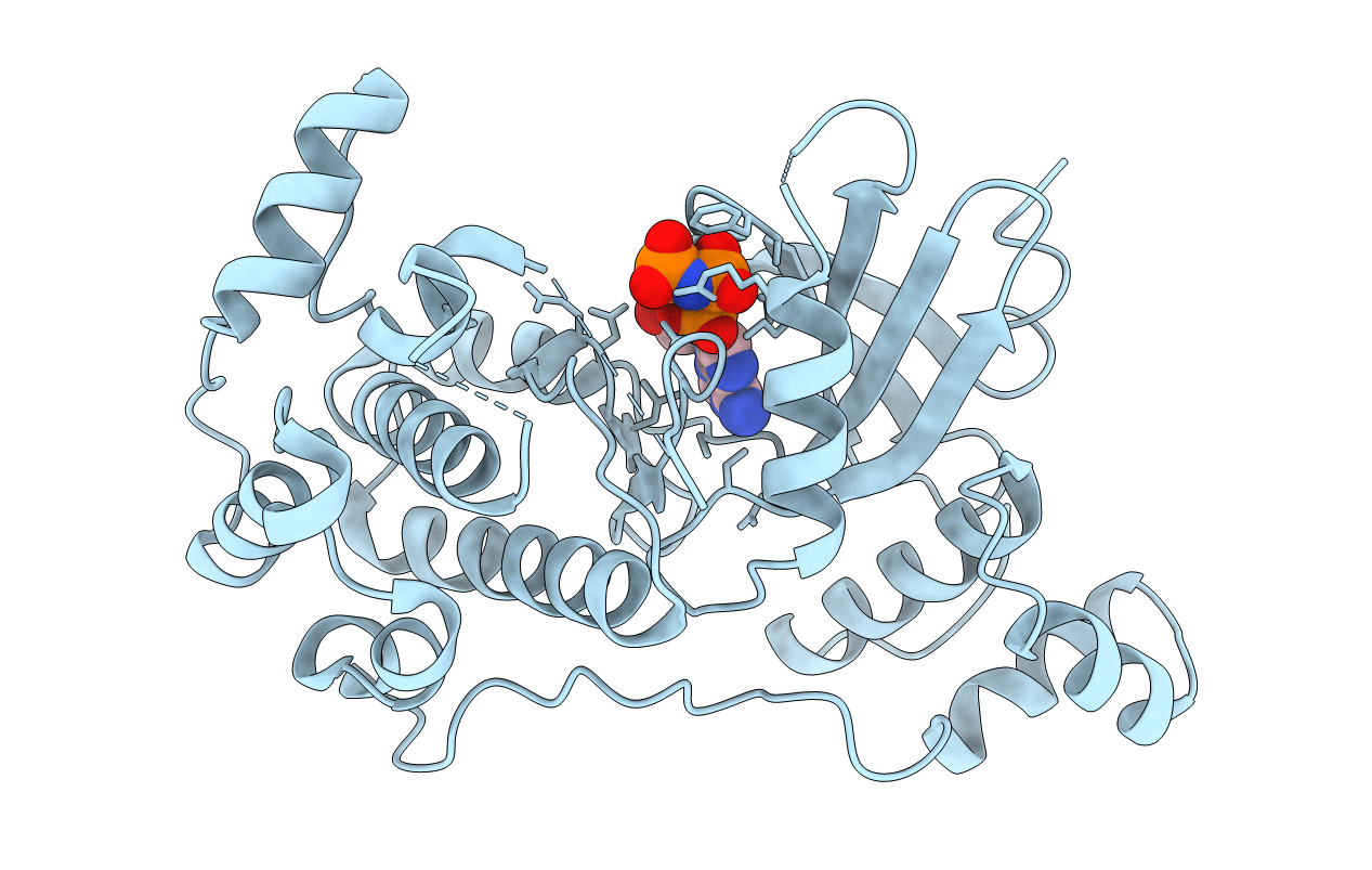 4BL1 image