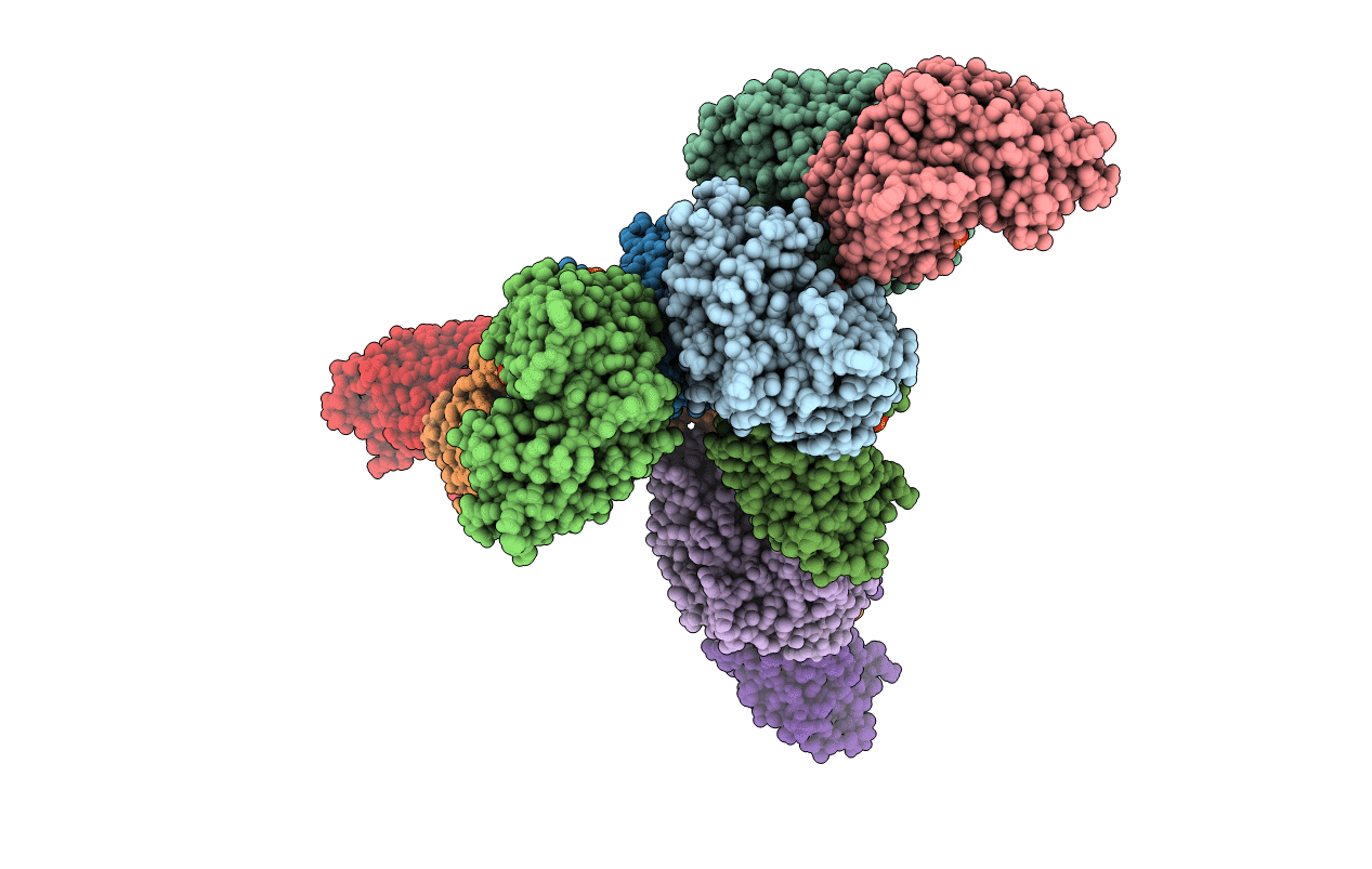 4BL5 image