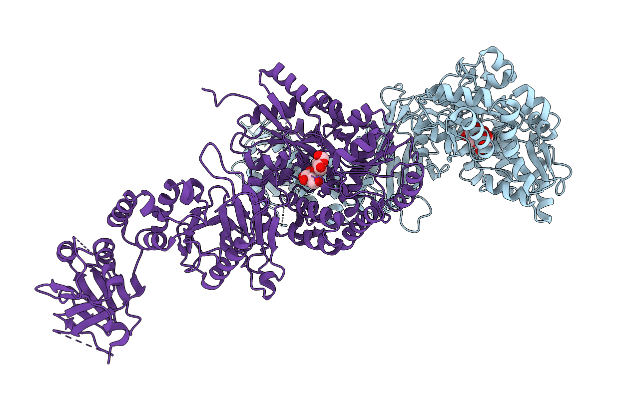 4BL8 image