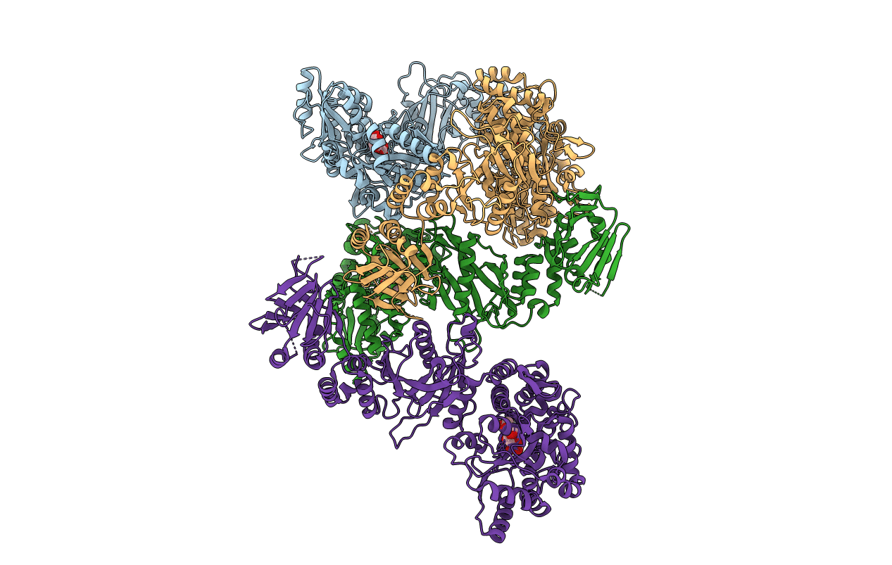 4BL9 image