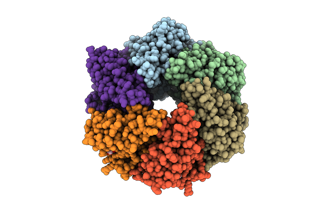 4BLP image