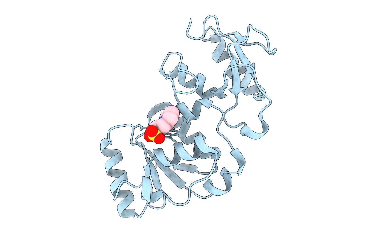 4BMD image
