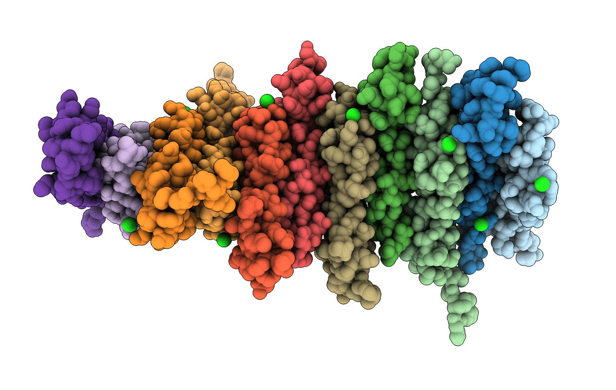 4BMJ image