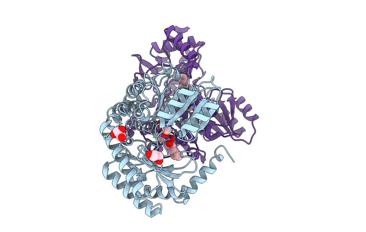 4BMK image