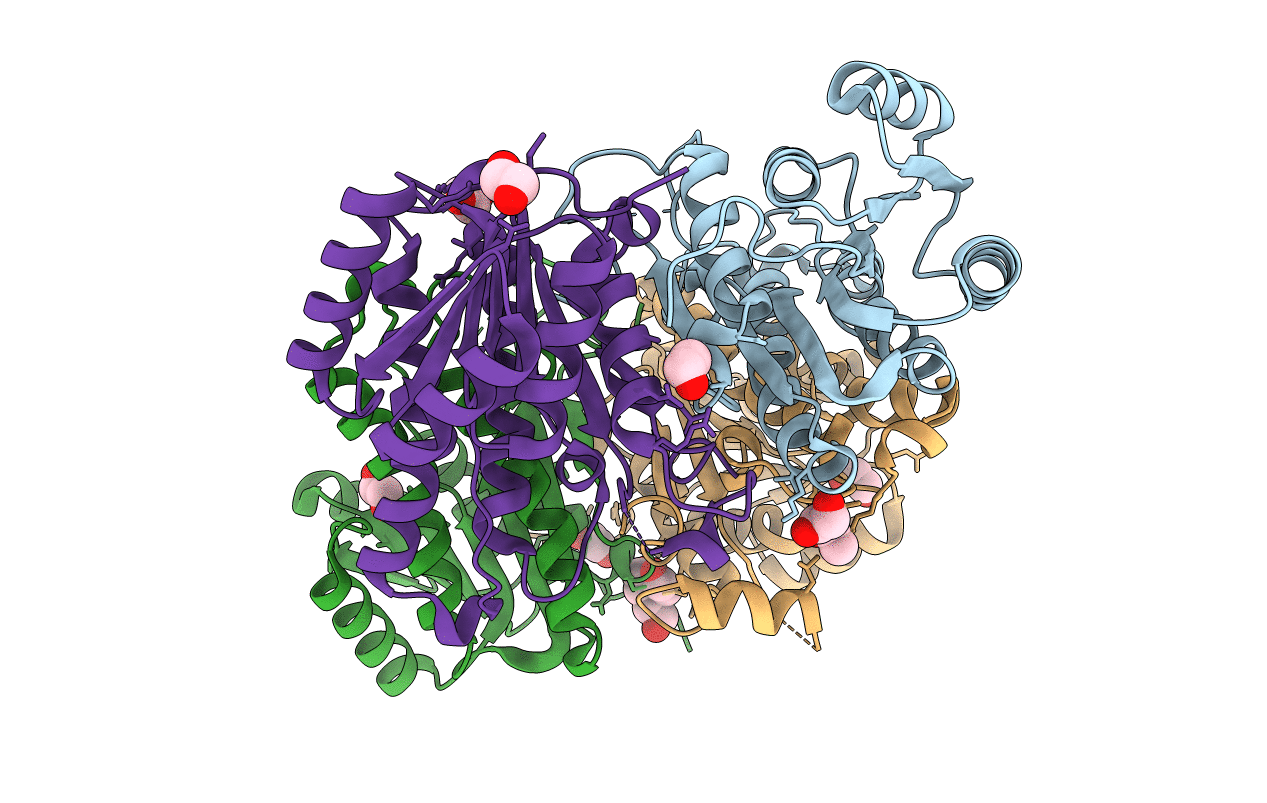 4BMN image