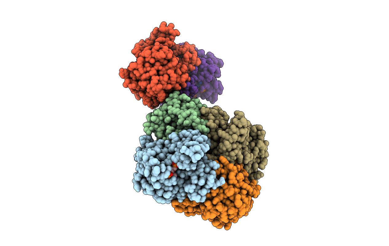 4BMS image