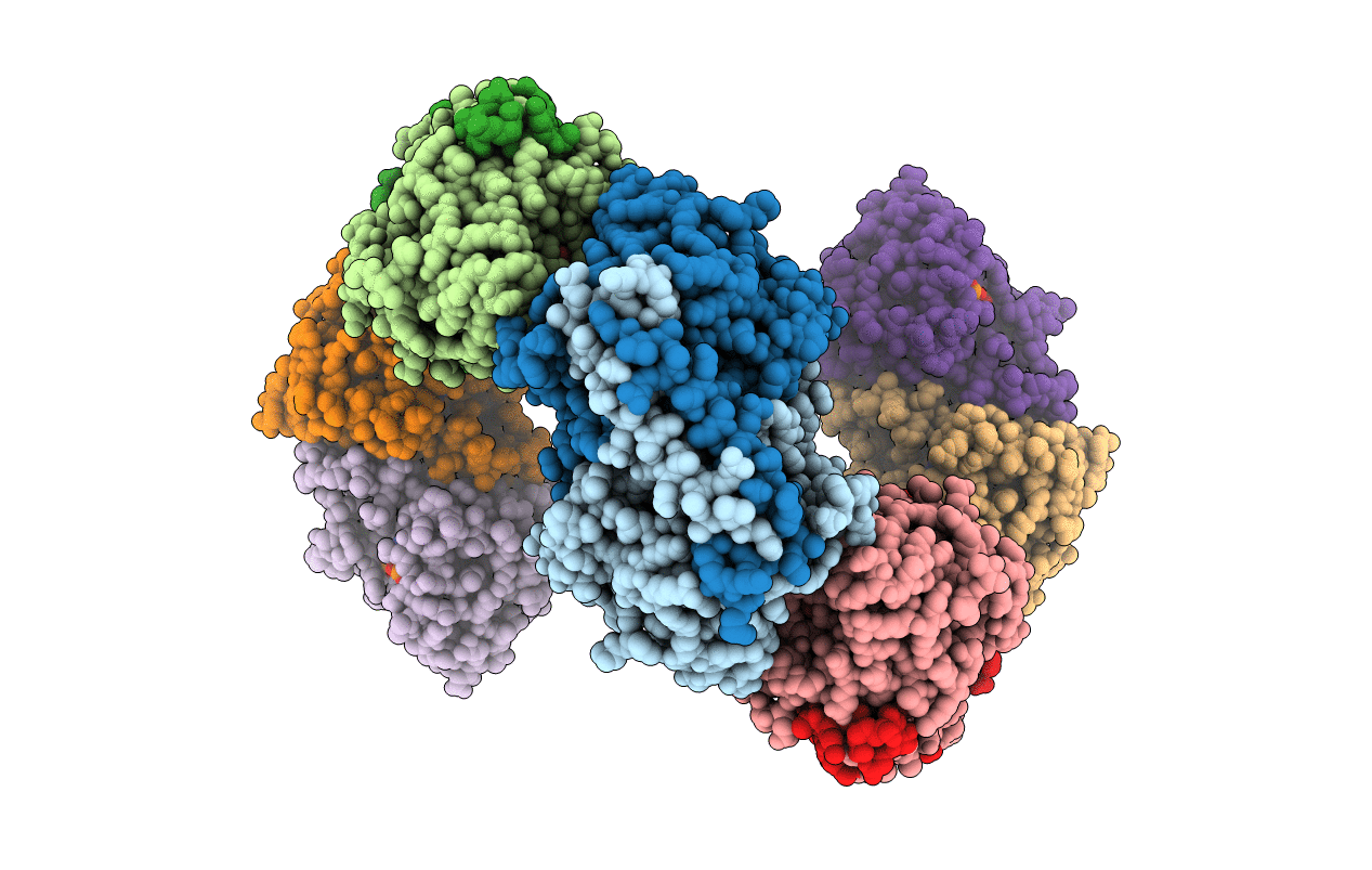 4BMV image