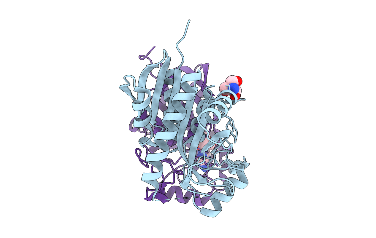 4BMX image