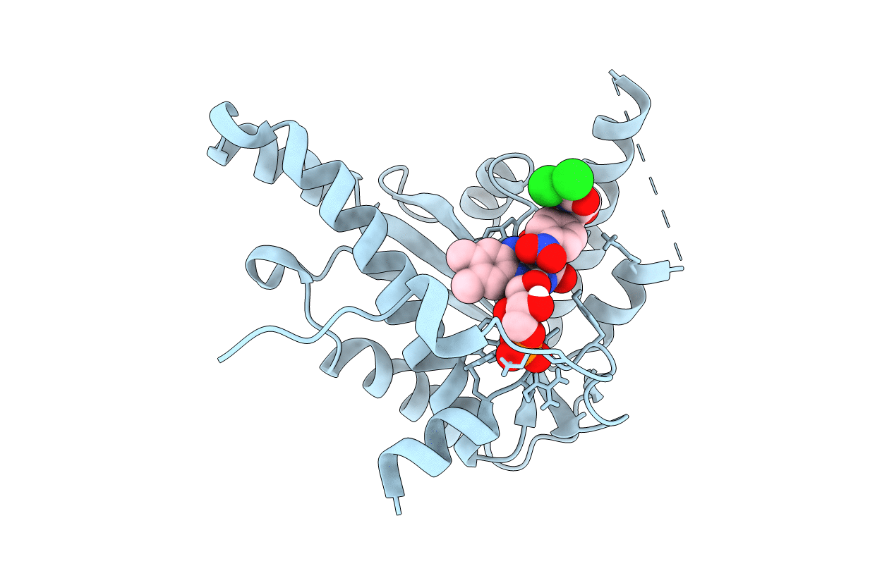 4BN6 image