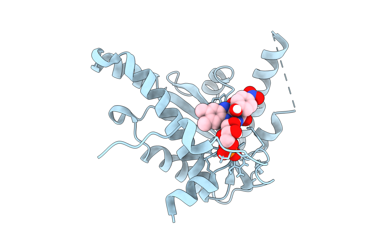 4BN8 image