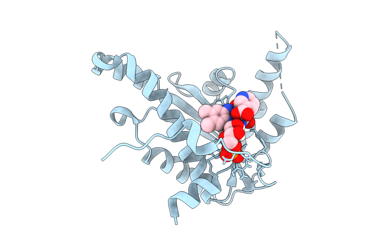 4BN9 image